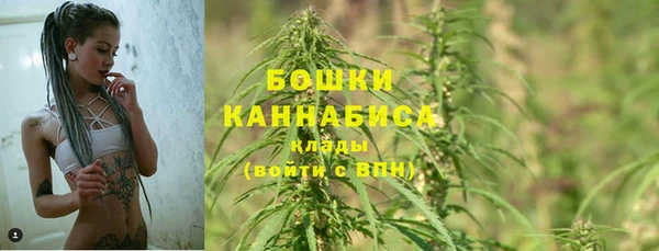 гашик Иннополис