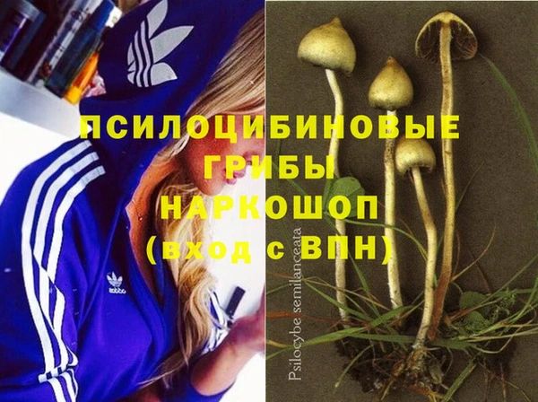 дживик Каменка