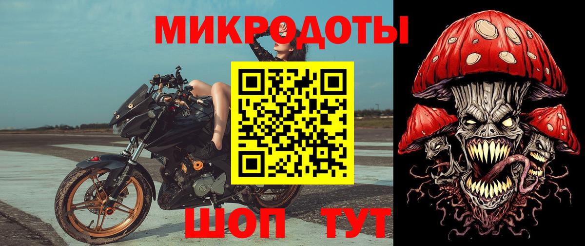 Галлюциногенные грибы Psilocybe Владивосток