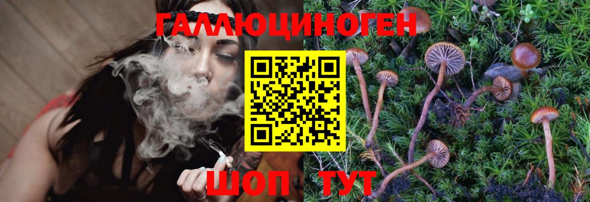 Псилоцибиновые грибы мицелий  Галлюциногенные грибы прущие грибы  Владивосток 